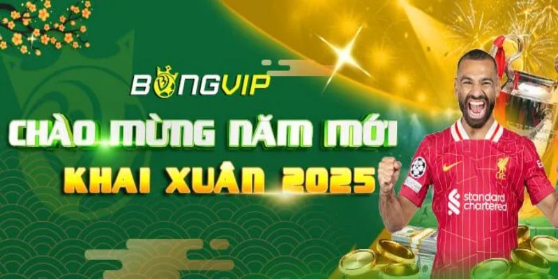 Bongvip - Nhà cái lý tưởng cho mọi tín đồ cá cược và giải trí